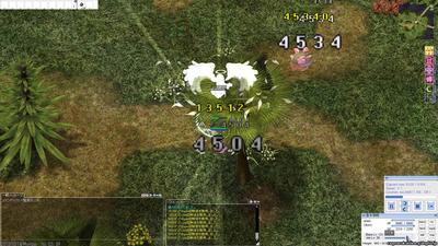 img.jpg