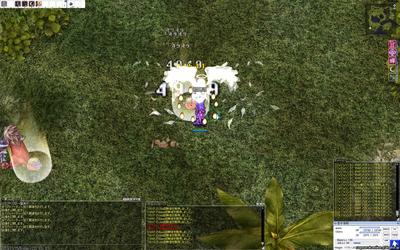 screenGimle [Hei+Tho] 1056.jpg