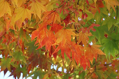 IMG_5504_2.jpg